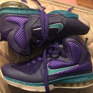Lebron 9 Hornets